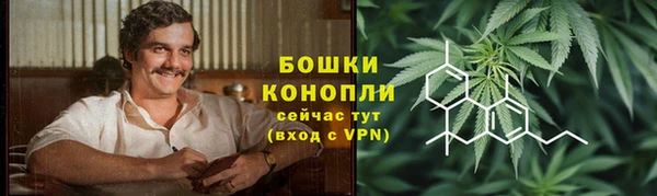 бошки Надым