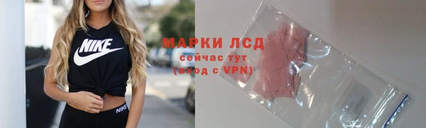 ECSTASY Михайлов