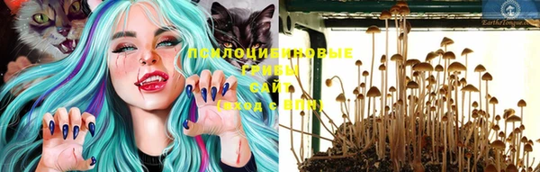 тгк Наволоки