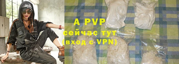 ECSTASY Михайлов