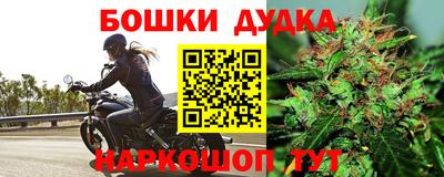 стаф Нарткала