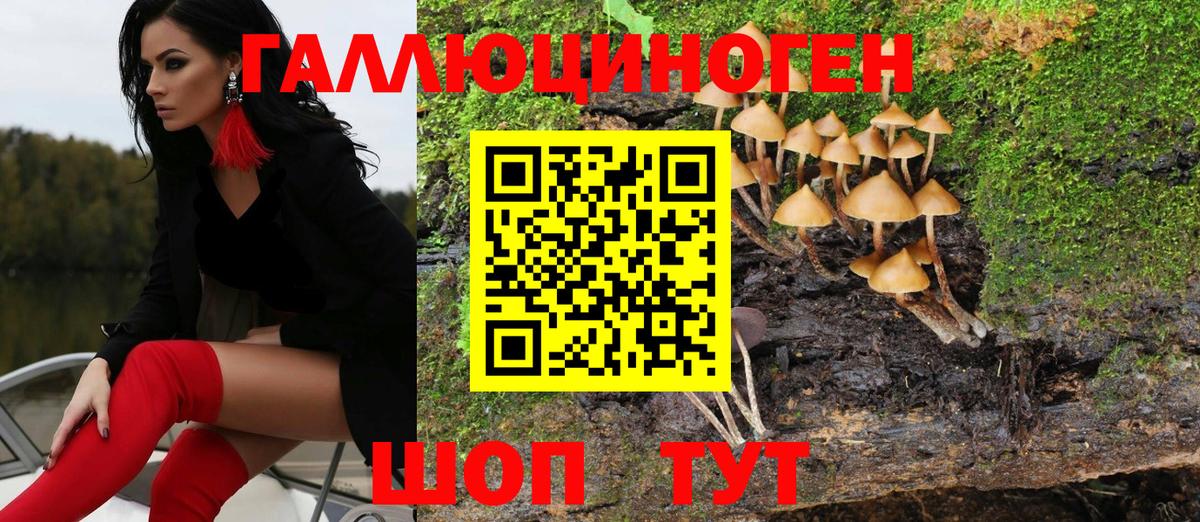 наркота  Усть-Кут  Галлюциногенные грибы мухоморы 