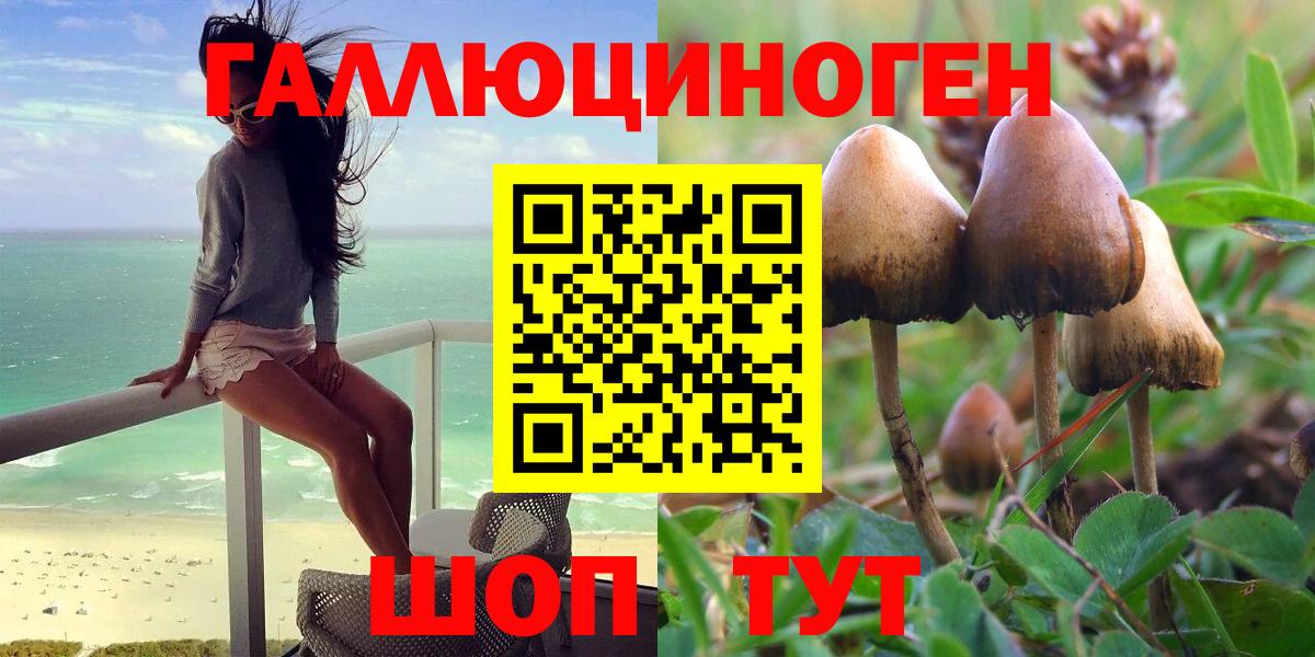Усть-Кут  Псилоцибиновые грибы Psilocybe  Вход с VPN 